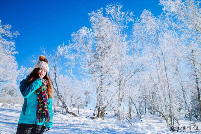 哈尔滨自助游旅游线路攻略定制，找雪乡当地网红个人导游，亲身体验！