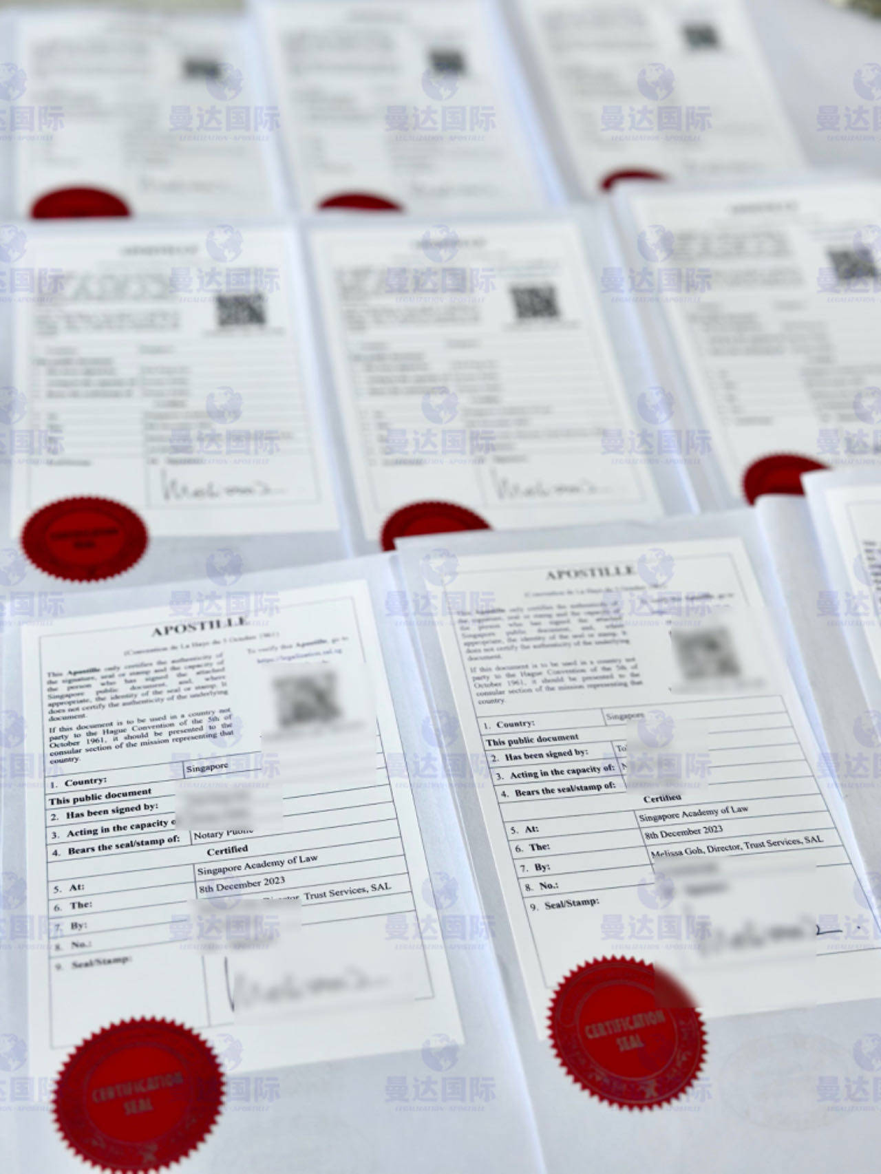 新加坡企业注册证书