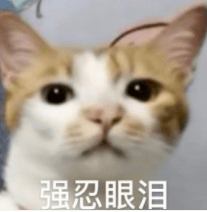 什么叫家里干净到闪瞎眼!这次我可算见识到了!