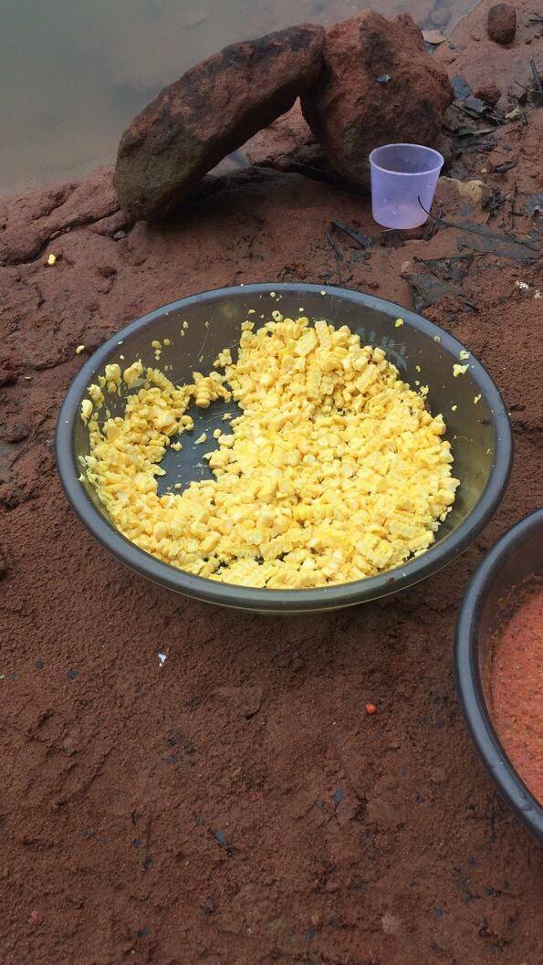 既来之则安之吧,摆摊摊打窝子,一包流氓麦全部招呼进窝子,买了七块嫩