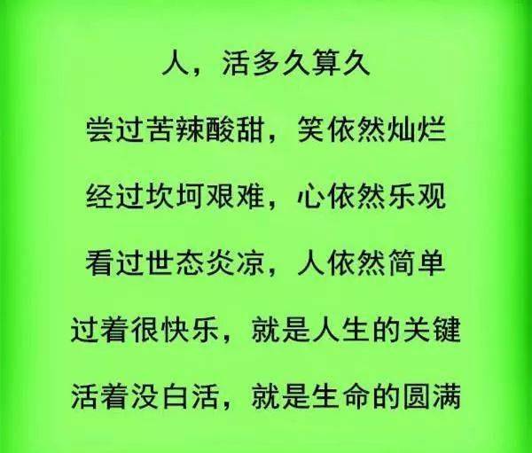aceb0049dd03495ab56c430c0f94b384.jpeg