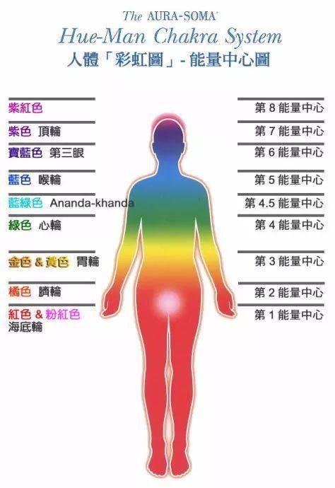 总是心烦气躁来了解一下海底轮的奥秘