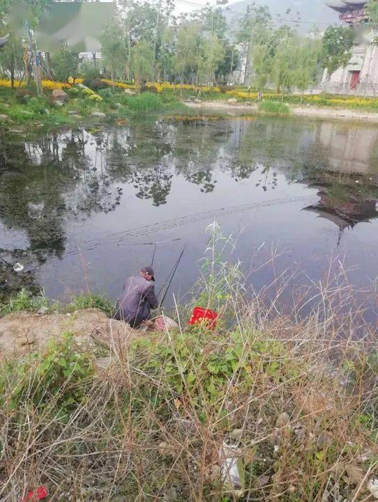 城市河道花园钓鱼的,钓到鱼没有?