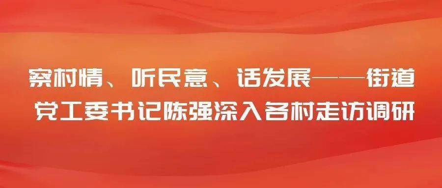 澄江动态丨察村情听民意话发展街道党工委书记陈强深入各村走访调研