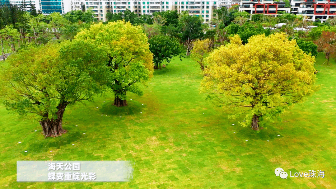 珠海蝉联最宜居城市!香洲区获全国第一!央视解读刷榜秘诀