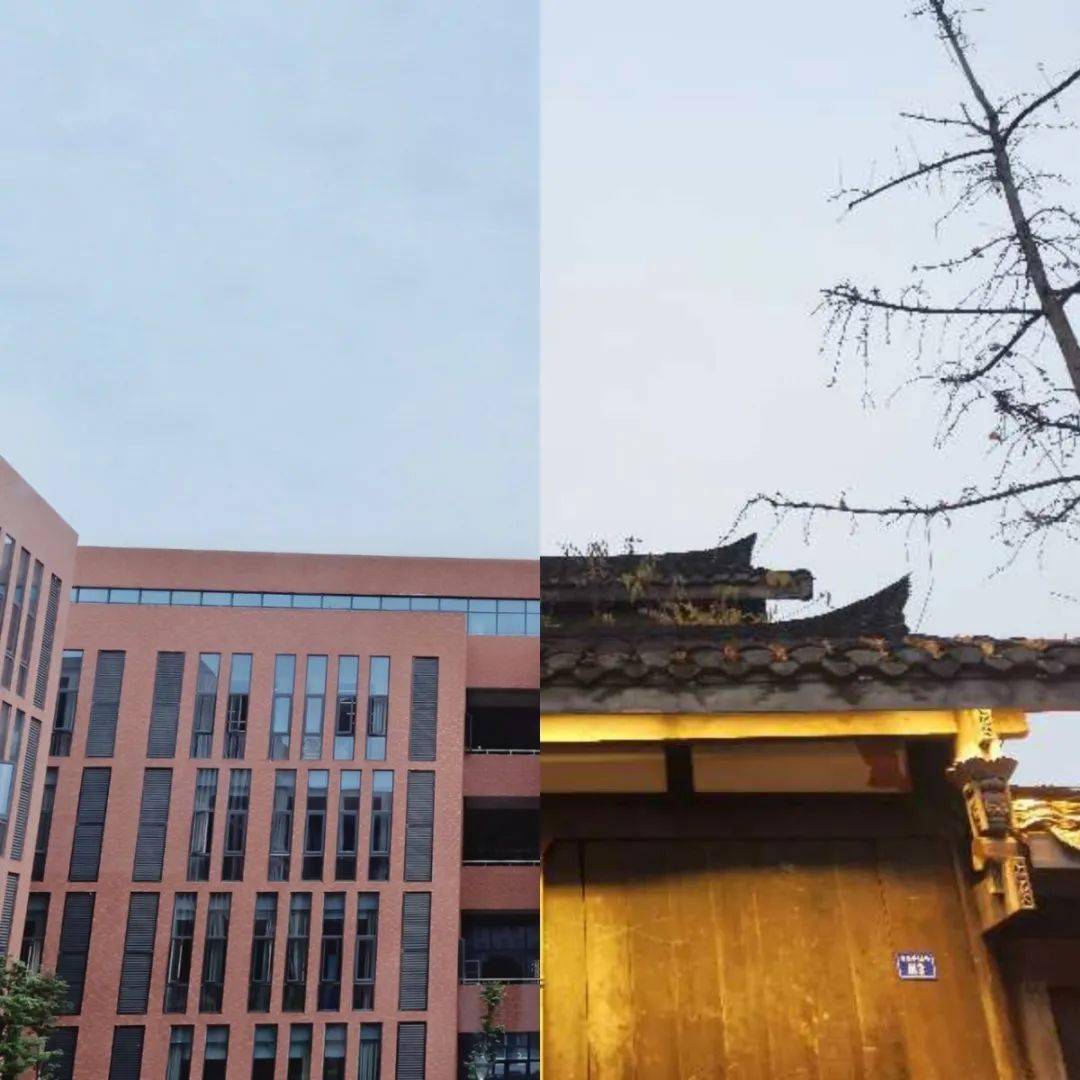 湖图书馆成语疯狂猜成_图书馆卡通图片(3)