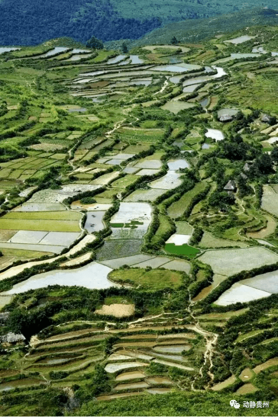 摆榜梯田位于黔南州惠水县.