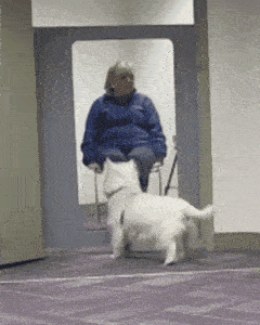 240_300 竖版 竖屏