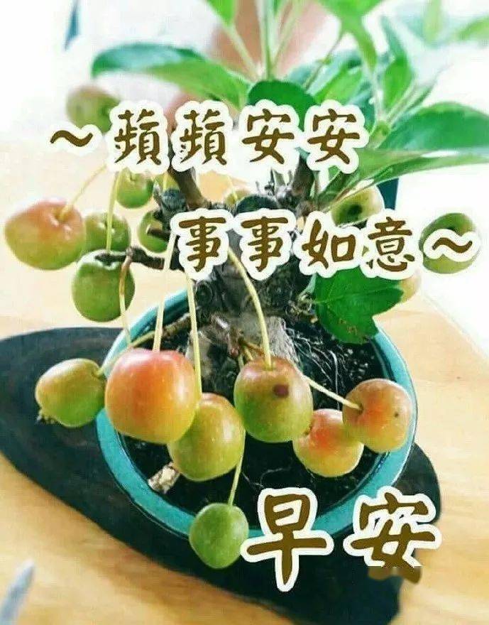 5月27日大家早上好,最新早上好特漂亮的动态祝福图片