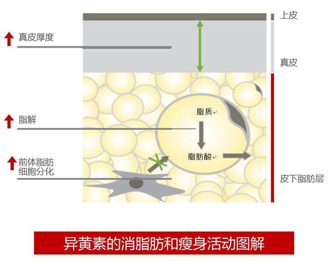 抹掉脂肪团和橘皮!张雨绮"绝版"身材就是用它!