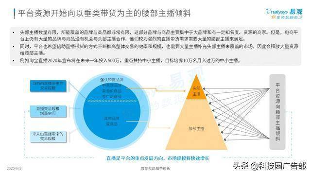 2020中国社会化媒体营销市场分析报告 