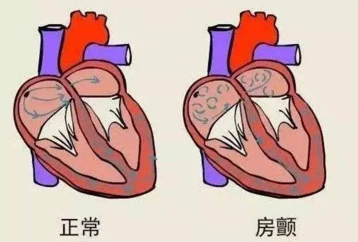 91ff409495ee4aeb886c9e08a7f7e76f.jpeg