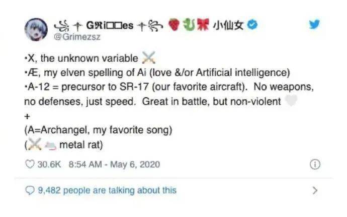 Musk|取名“X ? A-12 Musk” 你知道什么意思吗？马斯克第六个孩子出生