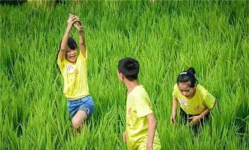 欣源|或带孩子去店里吃了海鲜，会感染血吸虫吗？从菜场买回的鱼和菜会带虫吗？——血吸虫（3）欣源说 | 孩子玩了脏水