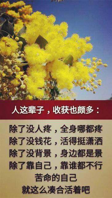 人生这一辈子真的好难 1473b8d655734cf99d980410b01dce89.jpeg