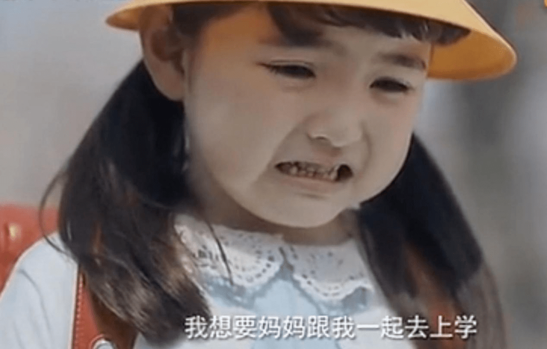 人生第一次上学16张图看哭了