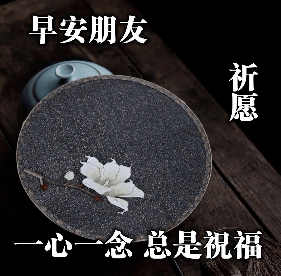 新的六月最美的早上好问候图片大全 阳光唯美的早安祝福表情包