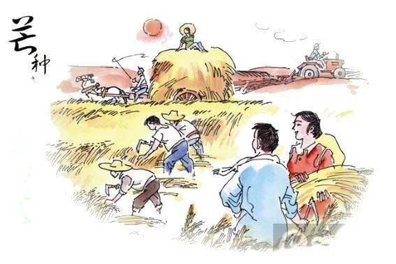 黄梅时节家家语猜一成语_黄梅时节图片