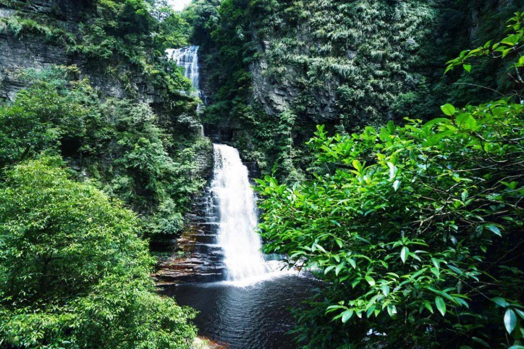 广西大明山国家级自然保护区荣获国家森林
