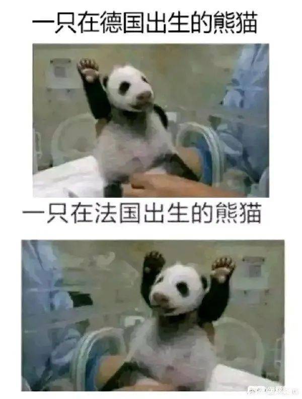 本当上手那确实图片来源自网络侵删返回搜狐,查看更多