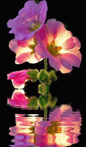 风情万种!还没见过的可惜