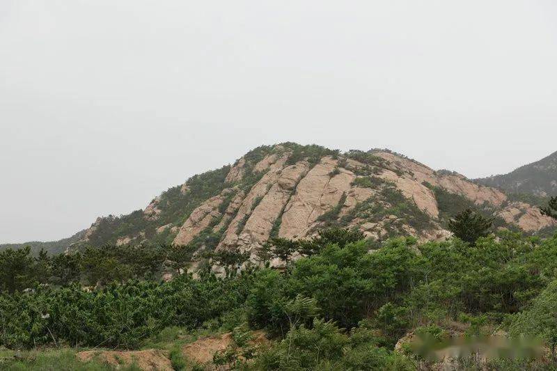 龙门寺四品老白丁落凤山这个村传奇故事真不少
