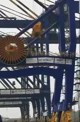突发!MSC集装箱船在孟买撞上码头岸吊,港口拥堵加剧,