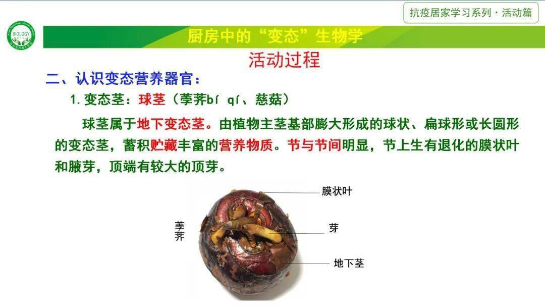 植物有六大器官:根,茎,叶,花,果实,种子.