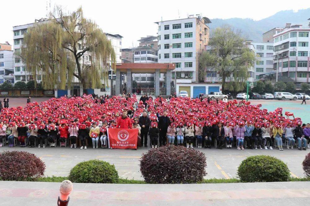 奉节县石岗小学,奉节县梅子初中,奉节县竹园初中,奉节县双潭小学,奉节