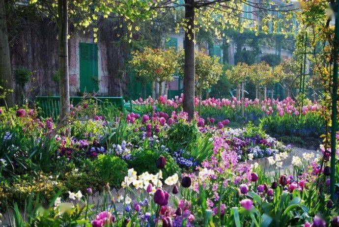 130年前莫奈的花园,如今依然是最美的人间天堂!