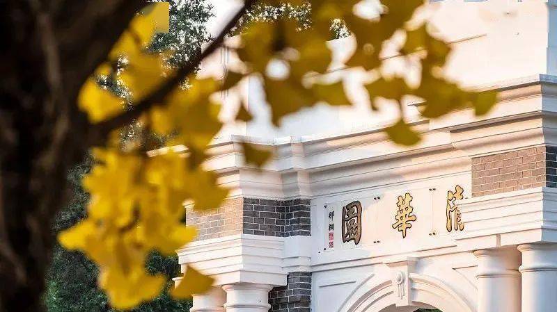 申报|如何精准备考面试？强基面试真经：申报完强基计划