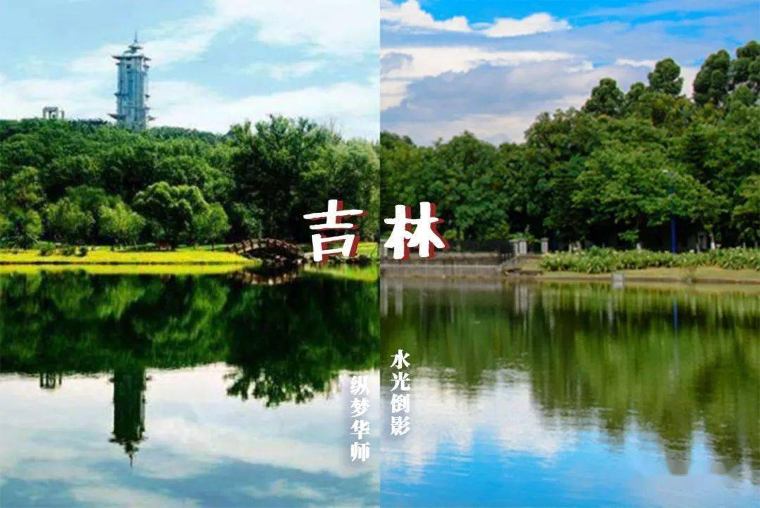林世泉|梦想不延时华师在等你