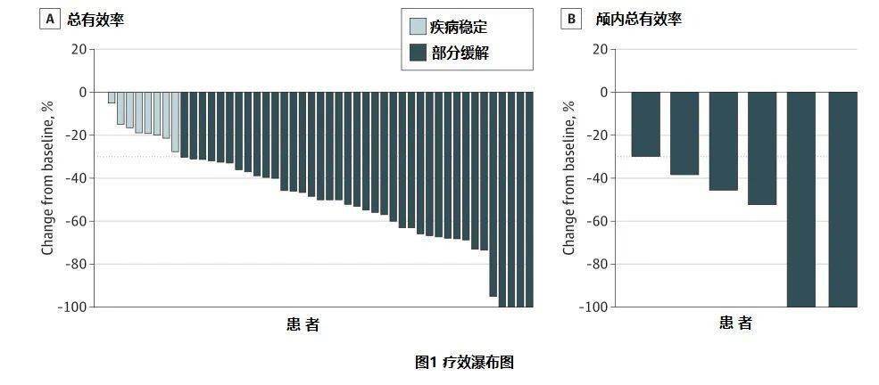 中位无进展生存期19月，一年无进展生存率76%，一年生存率89%，中位总生存
