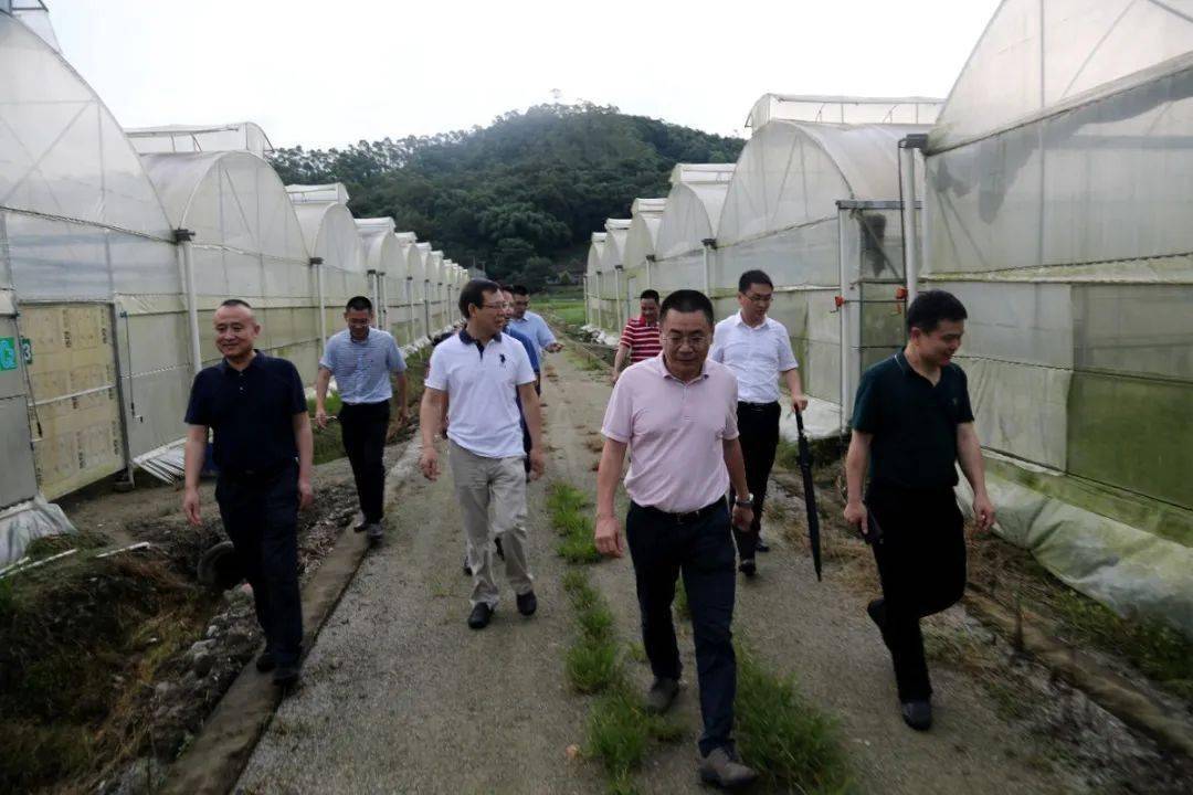 集团党委副书记总裁何云武拜访河源市领导及调研指导新龙村扶贫工作