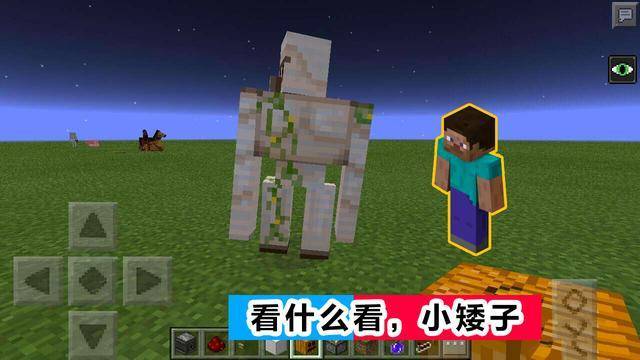 紫色影视人口_人口普查