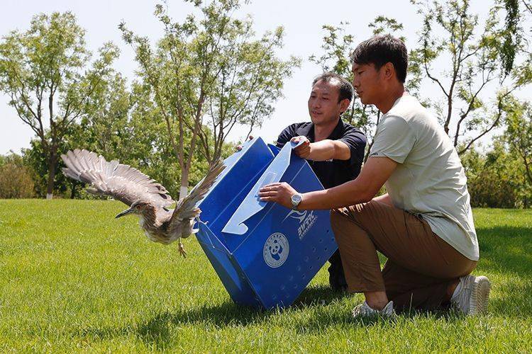 共享精彩瞬间 | 一周图片精选（组图）