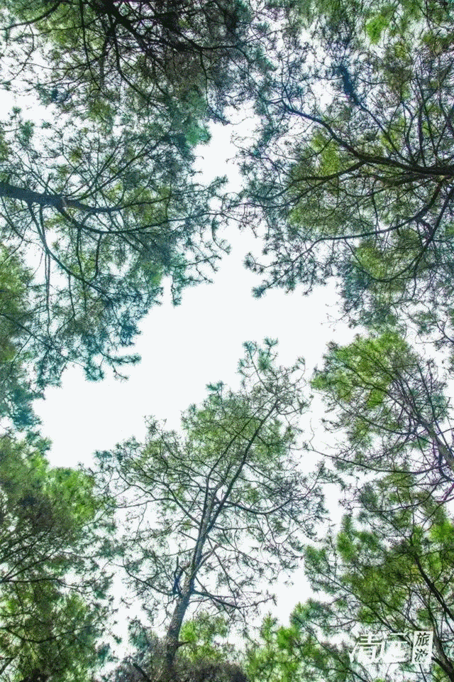 美林湖社区,这里空旷开阔, 有屋顶摩天轮, 有风情商业街, 处处都弥漫