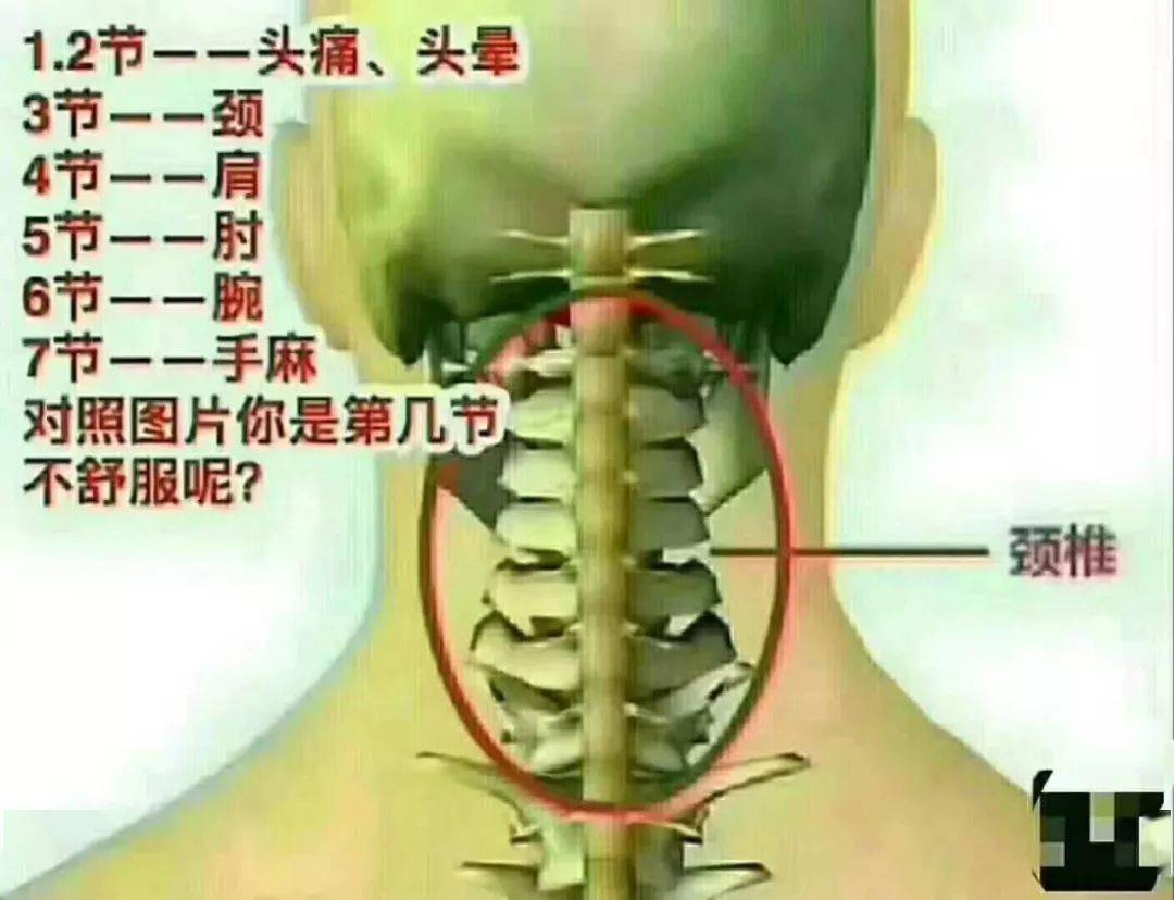 颈椎病的七大危害