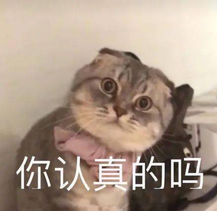 472f3948103648b1a4c08e138aa722c4.jpeg