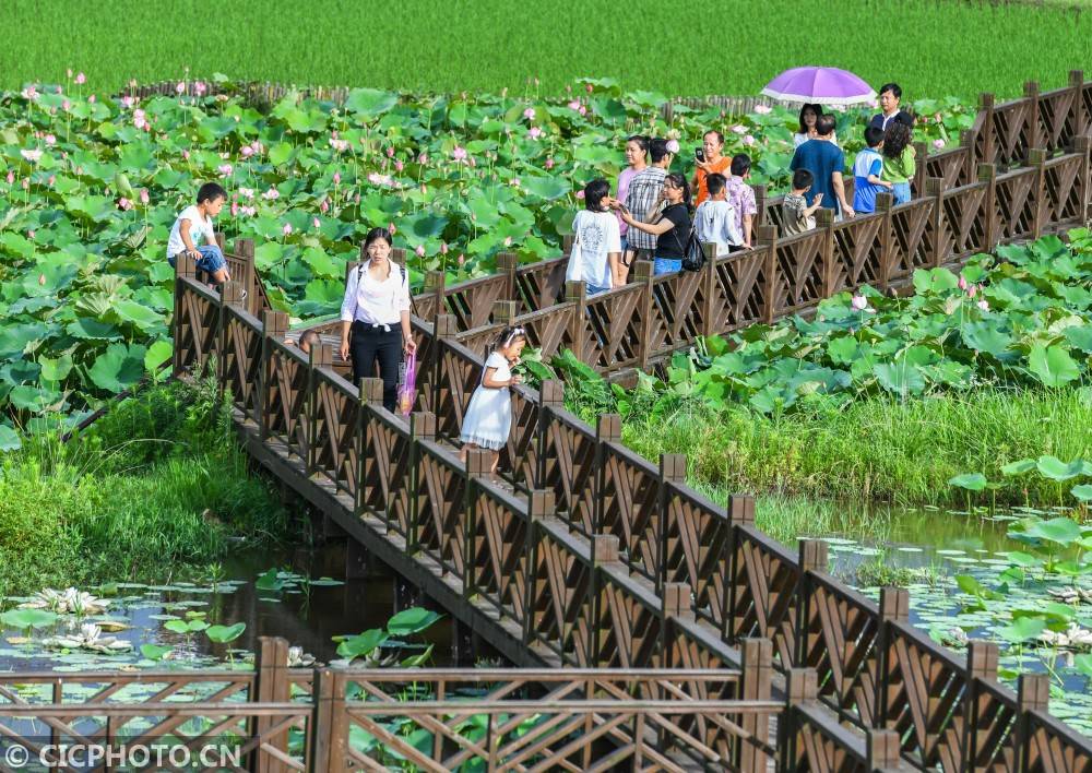 道县gdp_道县二中