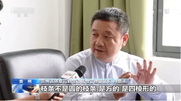 贵州|贵州已经有多名孩子因为这个“中招”了！路边野果别乱吃