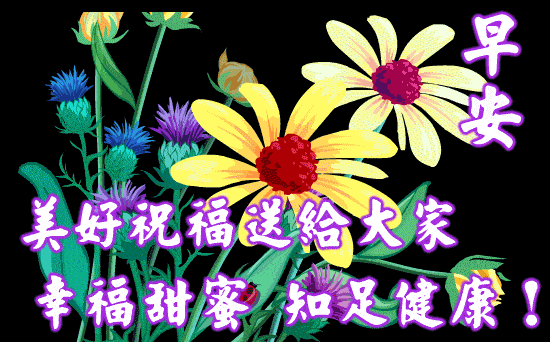 执着你的毅力,你就创造奇迹,但愿每天都得意,早安祝福