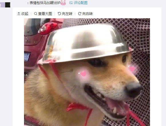 杭州街头爆笑一幕大伯骑车给狗子戴自制头盔评论亮了