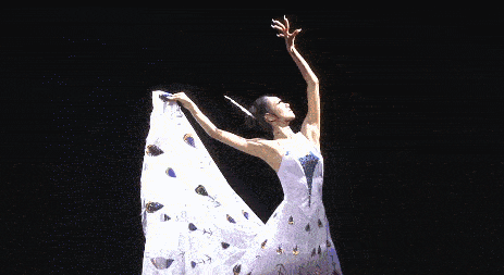 62岁杨丽萍被骂上热搜,一个女人最大的失败,是无儿无女?