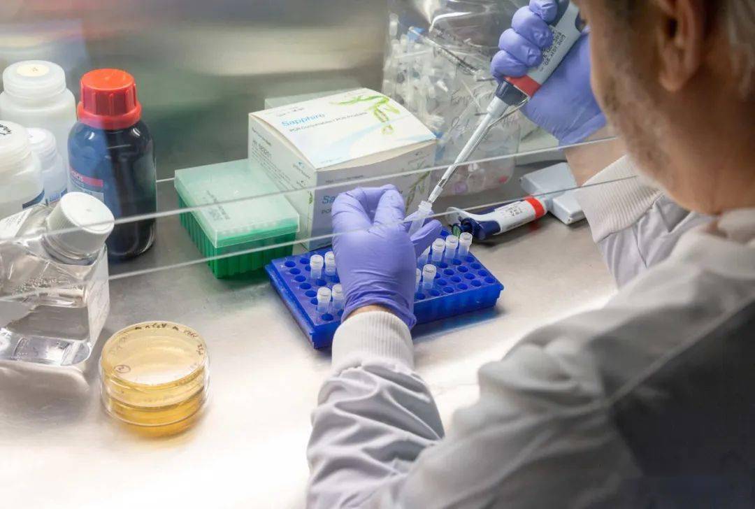 国外疫苗和国内疫苗哪个好 8e00753619d64b12b7fafbc6f0da9917.jpeg