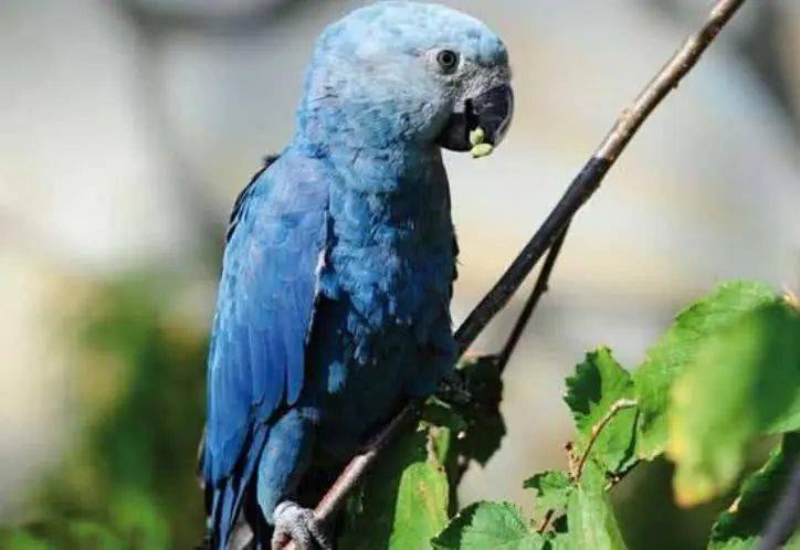 ad42f90f31ef4b2e878767afb6603e4b.jpeg