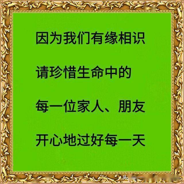1845212e76264a35a461235843e5bc86.jpeg