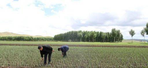 福安村人口_福安廉村图片(3)