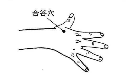 0 6 具体部位:合谷穴就是虎口穴,最容易找的穴位.(如上图).