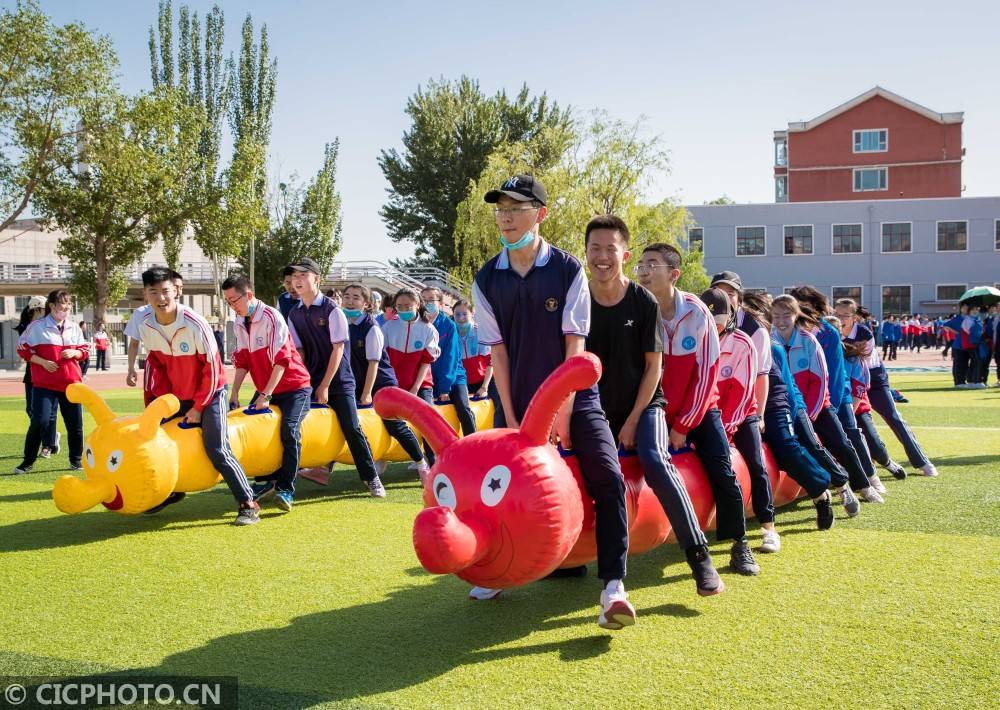 高三|趣味减压 备战高考